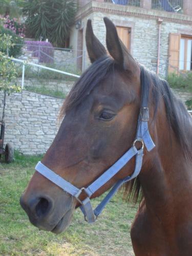 Borgo Maisale