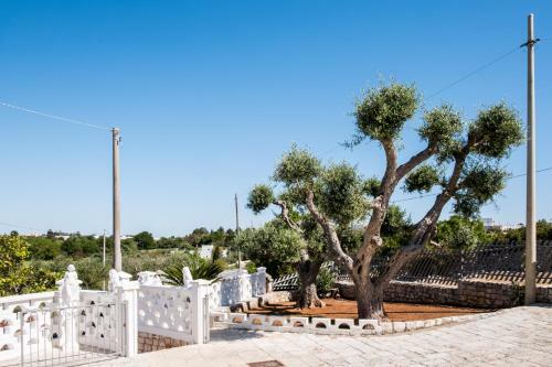 Regina Di Puglia Casa Vacanze