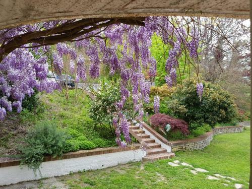 Bed & Breakfast La Giorgetta