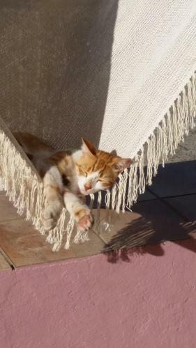 Case Vacanze Giuseppe