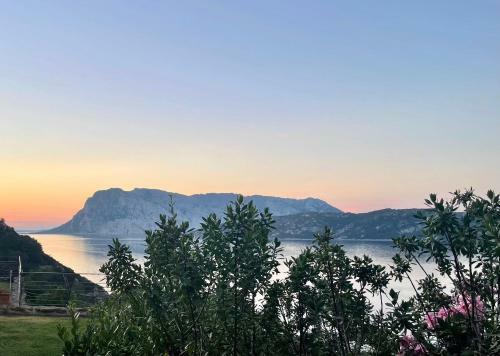 Apartamento San Teodoro Punta Est Bilocale Vista Mare