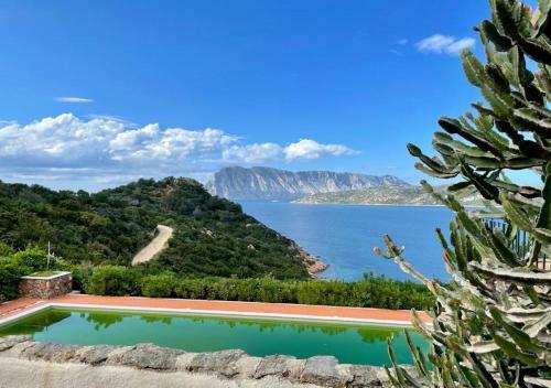 Apartamento San Teodoro Punta Est Bilocale Vista Mare