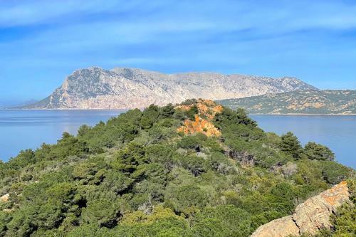 Apartamento San Teodoro Punta Est Bilocale Vista Mare