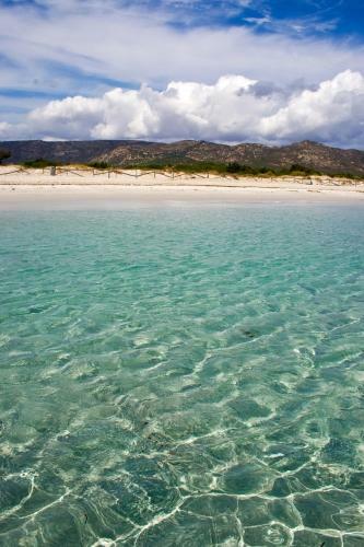 Apartamento San Teodoro Punta Est Bilocale Vista Mare