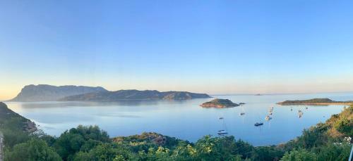 Apartamento San Teodoro Punta Est Bilocale Vista Mare