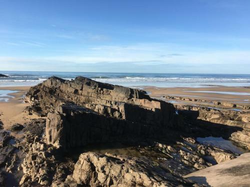 Kook's Cabin