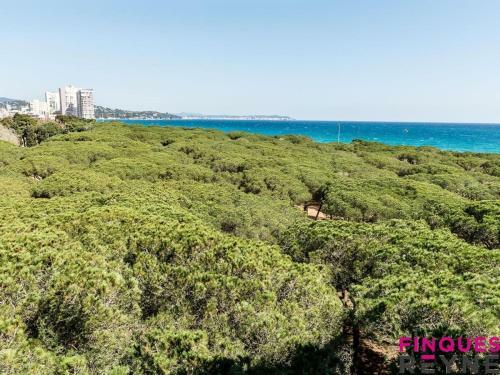 Apartamento Cibeles Bis 23