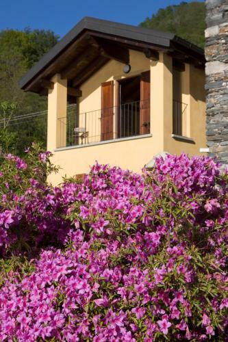 Violina Casa Vacanze