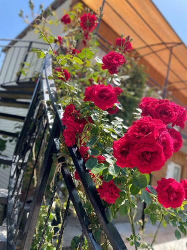 Hostal Eko Dom Tsvetochniy