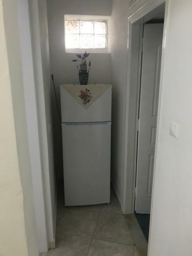 Apartamento Asimina Studios