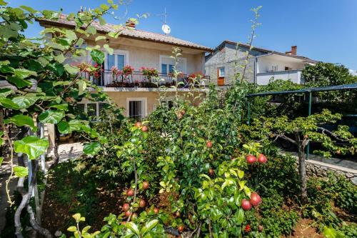 Apartmani Jelica