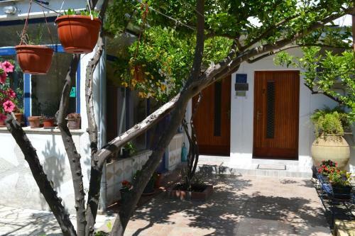 Apartamentos Danijela