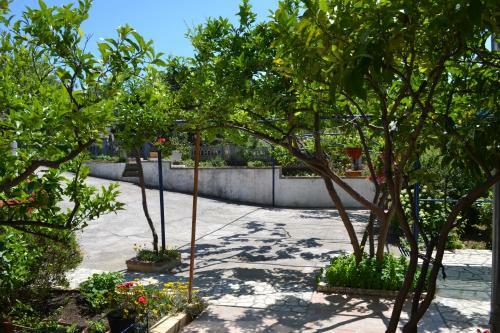Apartamentos Danijela