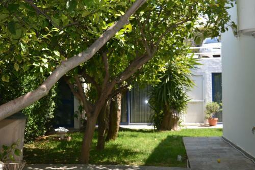 Villa Grace