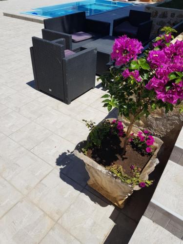 Holiday House ''villa Flora''