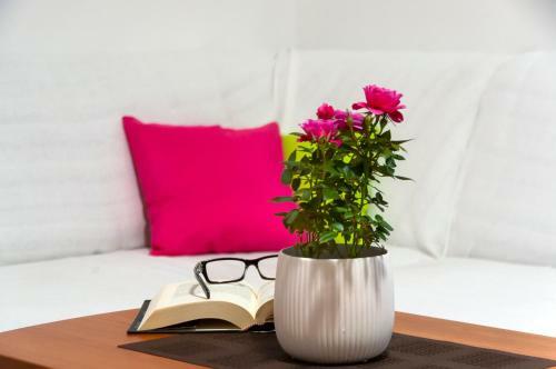Hostal Apartment & Rooms Graciela