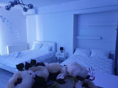Apartamento Roxy Studio