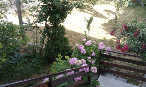 Apartamentos Villa Suzana