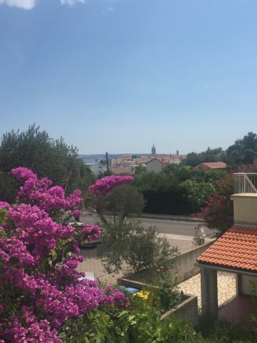 Hostal Apartments Matu?an
