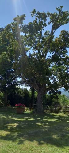 Hotel Poggio Al Sole