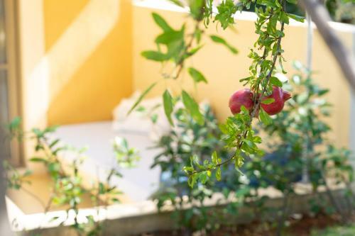 Apartamento Marilia Villas Lassi
