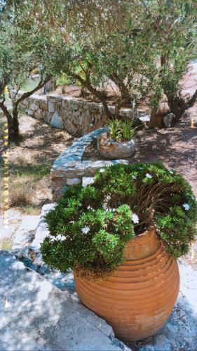 Apartamento Ampelia Kythira