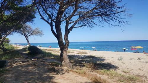 Apartamento Sas Raicrinas