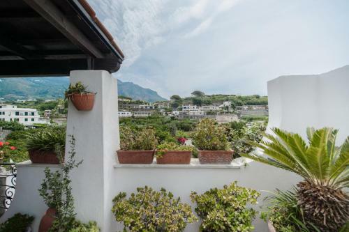 Apartamento Casetta Verde