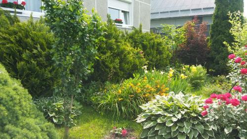 Apartament Jutrzenka