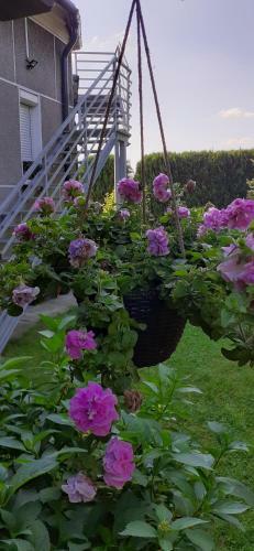 Apartament Jutrzenka