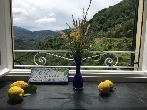 Apartamento Appartamento Il Limone