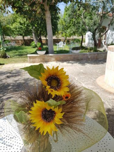 B&B Elianti