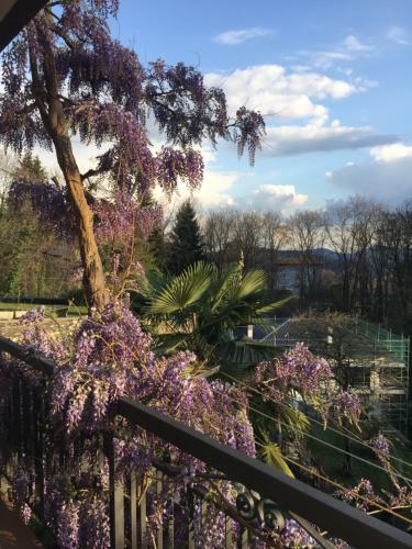 Apartamento Il Glicine
