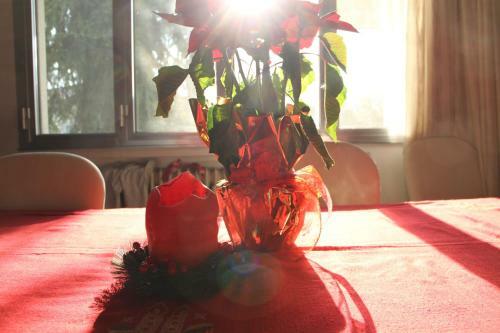 Bed & Breakfast Casa Gi�