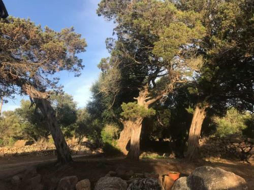 Apartamento Mauro Alloggi E Camere Palau