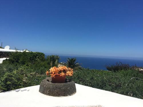 Agroturismo Dammusi Matilde