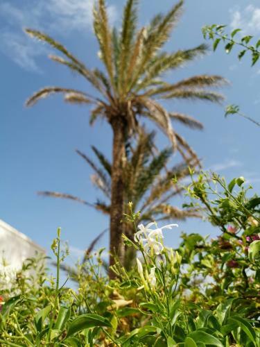 Agroturismo Dammusi Matilde
