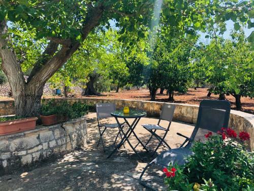 La Casedda Del Nonno Cavamonti