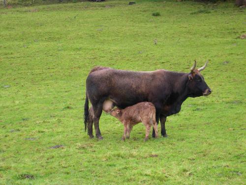 Agroturismo Turismo Rural El Sidron
