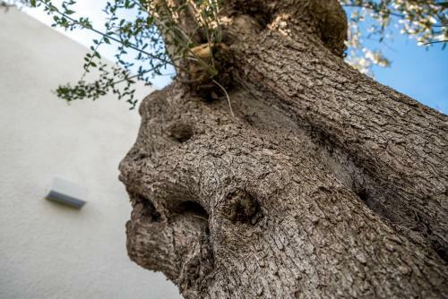 Bed & Breakfast Dimora Badello