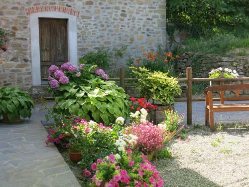 Bed & Breakfast Il Poggio Di Traverde