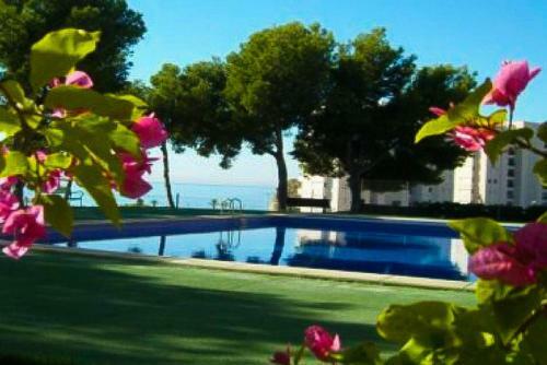 Fantastic 3-bed Apartment In Villajoyosa