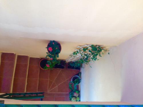 Apartamento Atico Opalo