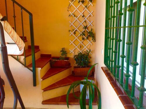 Apartamento Atico Opalo