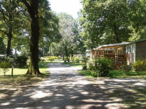 Camping Oaki