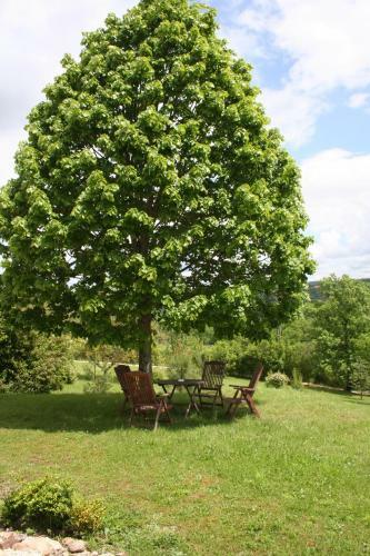 Bed & Breakfast Les Trois Collines