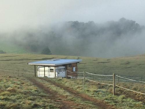 Tin Can Glamping Caravan