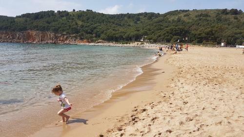 Apartamento Cala Montg�