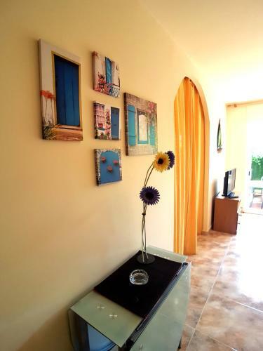 Apartamento Cala Montg�