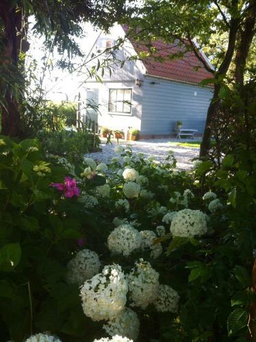 Amsterdam Country Cottage